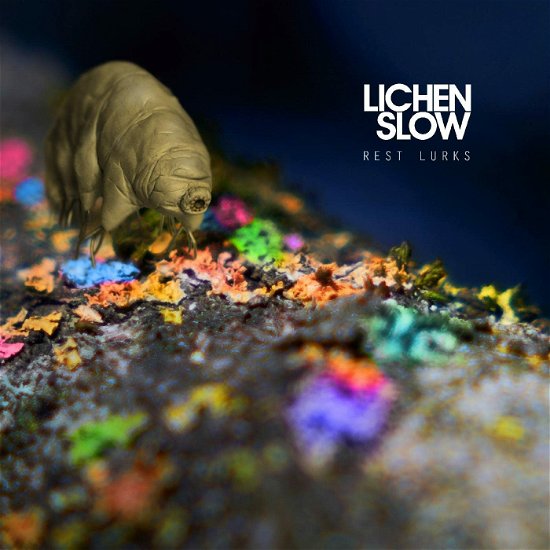Cover for Lichen Slow · Rest Lurks (CD) (2023)