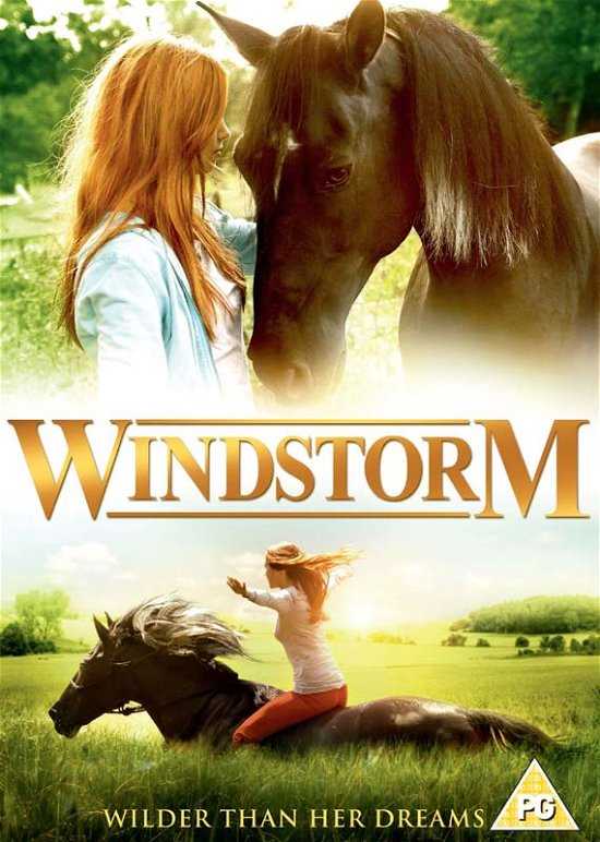 Cover for Windstorm (DVD) (2017)