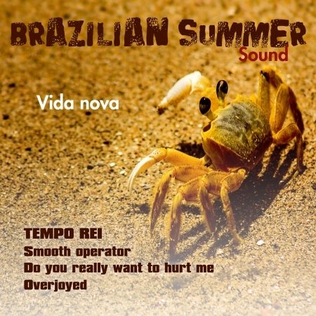 Cover for Various Artists · Brazilian Summer Sound (CD)