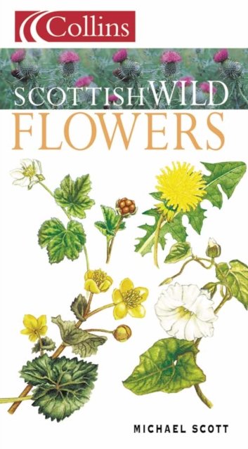 Cover for Michael Scott · Scottish Wild Flowers - Collins Guides (Paperback Book) (1995)
