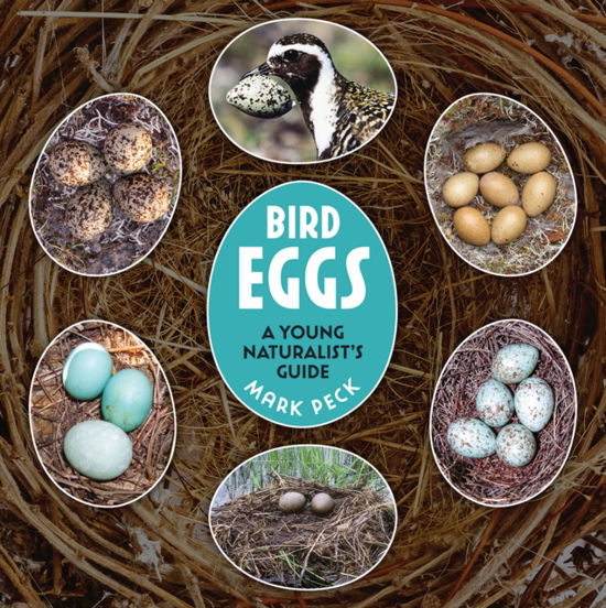 Cover for Mark Peck · Bird Eggs: A Young Naturalist's Guide (Paperback Book) (2024)