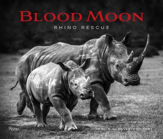 Cover for Dereck Joubert · Blood Moon: Rescuing the Rhino (Hardcover bog) (2020)