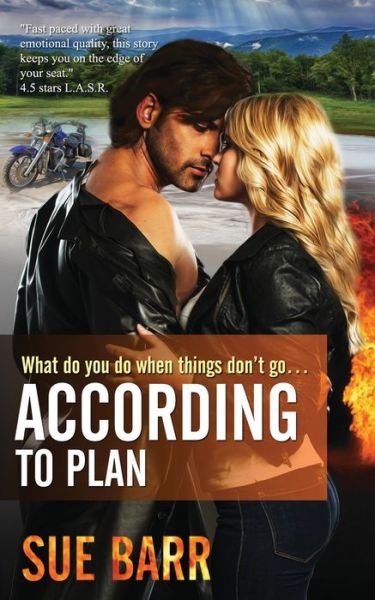 Cover for Sue Barr · According to Plan (Paperback Book) (2015)