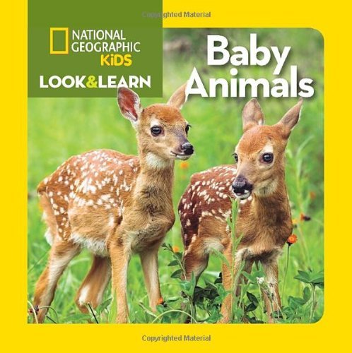 Cover for National Geographic Kids · Look and Learn: Baby Animals - Look&amp;Learn (Board book) [Brdbk edition] (2014)