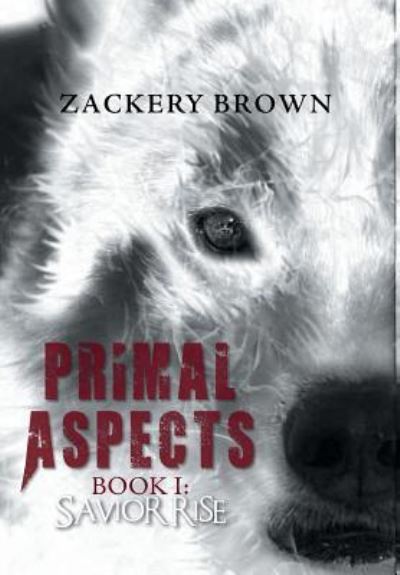Cover for Zackery Brown · Primal Aspects Book 1 (Innbunden bok) (2016)
