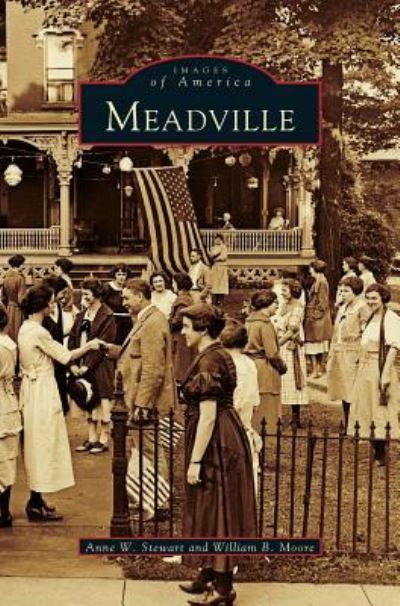 Cover for Anne W Stewart · Meadville (Hardcover bog) (2001)