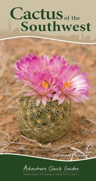 Cover for Nora Bowers · Cactus of the Southwest: Your Way to Easily Identify Cacti - Nature's Wild Cards (Spiralbog) (2016)