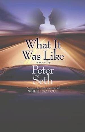 Cover for Peter Seth · What It Was Like: A Novel of Love and Consequence (Paperback Book) (2025)