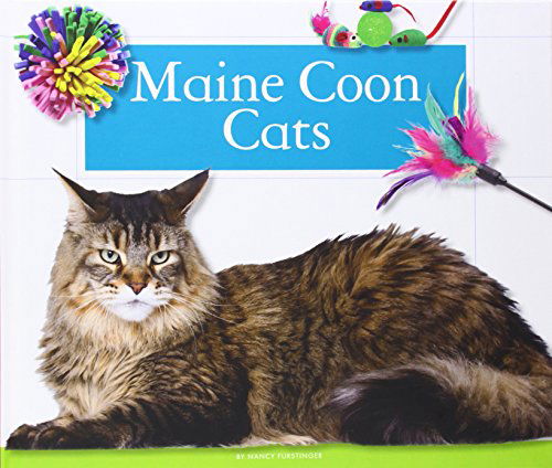 Cover for Nancy Furstinger · Maine Coon Cats (Domestic Cats) (Hardcover Book) (2014)