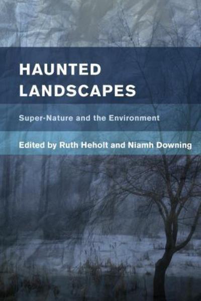 Cover for Ruth Heholt · Haunted Landscapes: Super-Nature and the Environment (Paperback Book) (2016)