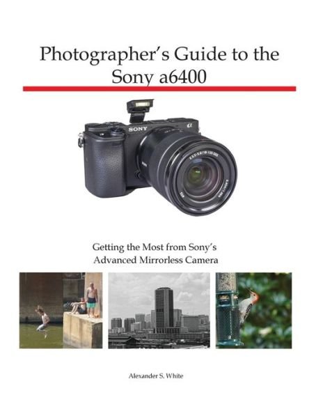 Photographer's Guide to the Leica D-Lux (Typ 109): White, Alexander S.:  9781937986445: : Books