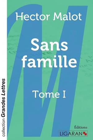 Cover for Hector Malot · Sans famille (grands caractères) (Paperback Book) (2015)