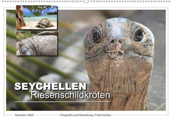 Seychellen Riesenschildkröten (W - Höcker - Books -  - 9783671178827 - 