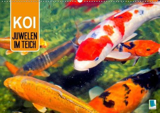 Cover for Koi · Juwelen im Teich (Wandkalender 202 (Book)