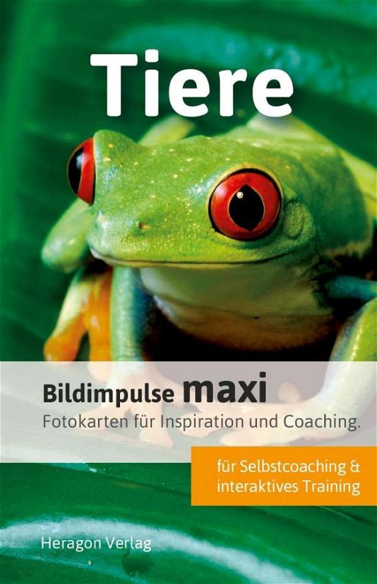 Cover for Pack · Bildimpulse maxi: Tiere (Book)