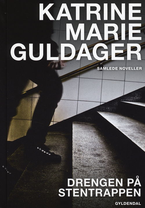 Cover for Katrine Marie Guldager · Gyldendal Hardback: Drengen på stentrappen (Hardcover Book) [1er édition] (2009)