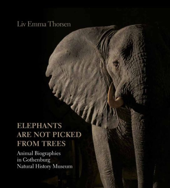 Elephants are not picked from trees - Liv Emma Thorsen - Books - Aarhus University Press - 9788771840827 - January 3, 2001