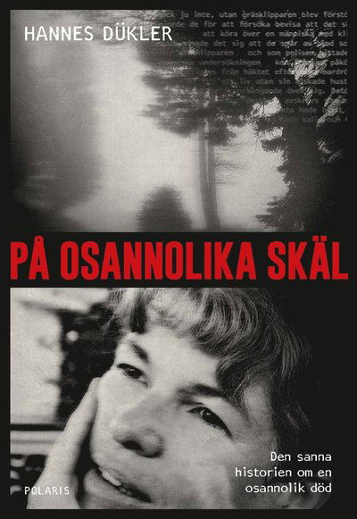 Cover for Hannes Dükler · På osannolika skäl (ePUB) (2019)