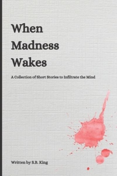 Cover for S B King · When Madness Wakes (Paperback Book) (2020)