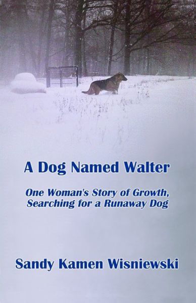 Cover for Sandy Kamen Wisniewski · A Dog Named Walter (Paperback Book) (2020)