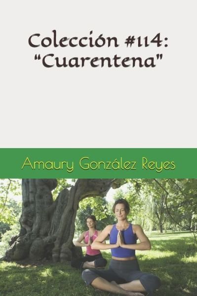 Cover for Amaury González Reyes · Coleccion #114 (Taschenbuch) (2020)