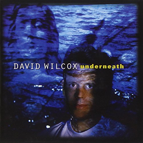 Cover for Wilcox David · Underneath (CD) (2005)