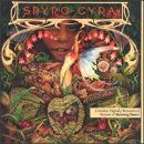 Morning Dance - Spyro Gyra - Música - SONY MUSIC ENTERTAINMENT - 0051617800828 - 7 de junio de 1994