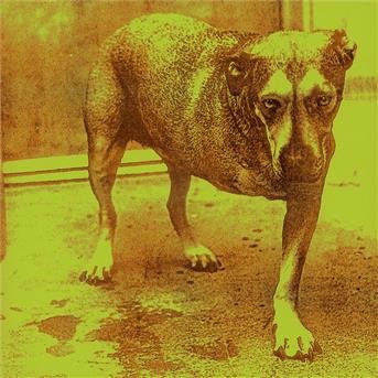 Cover for Alice in Chains · S/t (CD) (1995)