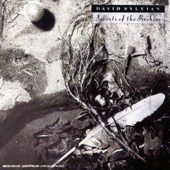 Cover for Sylvian David · Secrets of the Beeh (CD) (2004)