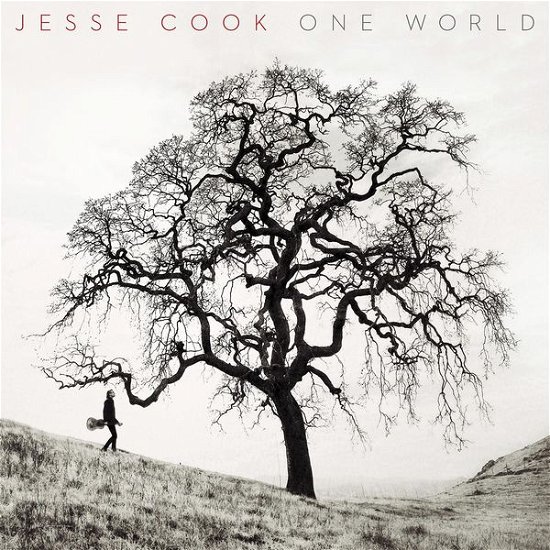 Cover for Jesse Cook · One World (CD) (2015)