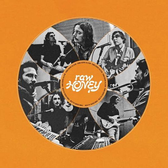 Cover for Drugdealer · Raw Honey (CD) (2019)