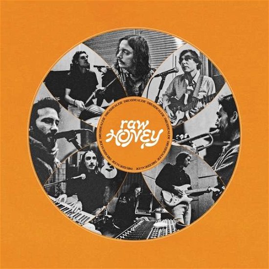 Cover for Drugdealer · Raw Honey (CD) (2019)