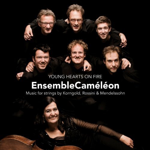 Cover for Ensemble Cameleon · Your Hearts on Fire (CD) (2011)