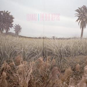 Blue Depths - Odawas - Música - JAGJAGUWAR - 0656605213828 - 17 de fevereiro de 2009