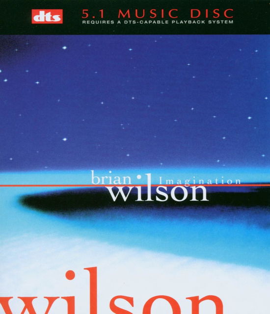 Imagination - Brian Wilson - Muziek - DTS - 0710215101828 - 25 augustus 2003