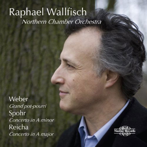 Cover for Wallfisch · Cello Works (CD) (2011)