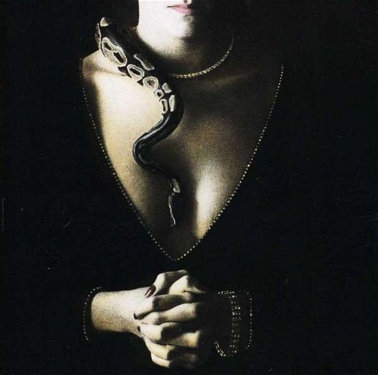 Slide It in - Whitesnake - Musiikki - UNIVERSAL MUSIC - 0720642401828 - torstai 25. lokakuuta 1990