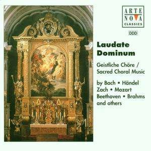 Cover for Georg Friedrich Handel  · Laudate Dominum (CD)