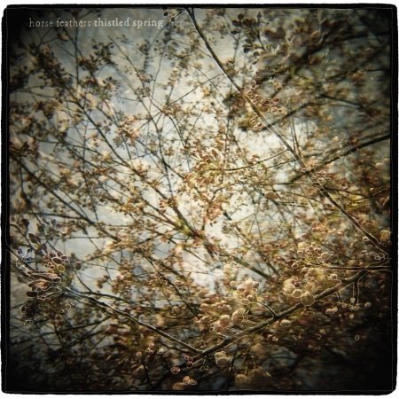 Cover for Horse Feathers · Thistled Spring (CD) (2010)