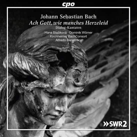 Ach Gott Wie Manches Herzeleid - Bach.j.s. / Worner /giebelhausen / Bernardini - Música - CPO - 0761203506828 - 20 de janeiro de 2017