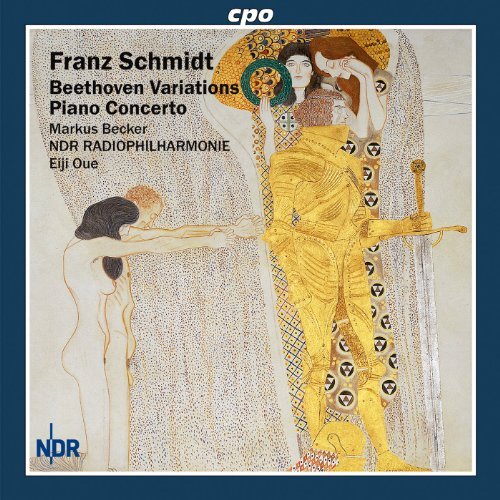 Variations for Left Hand / Piano Cto for Left Hand - Schmidt / Oue / Ndr Radiophilharmonie / Becker - Music - CPO - 0761203733828 - July 27, 2010