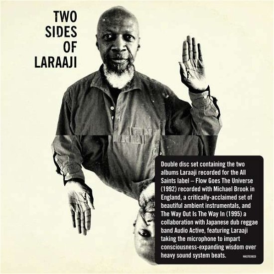 Two Sides of Laraaji - Laraaji - Música - ALL SAINTS - 0801061103828 - 29 de octubre de 2013