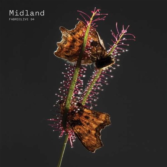 Cover for Midland · Fabriclive 94 Midland (CD) (2017)