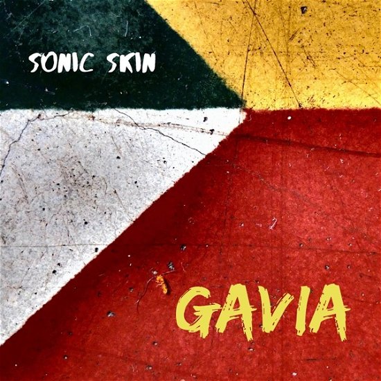 Cover for Sonic Skin · Sven Berggren: Gavia (CD) (2024)