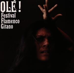 Cover for Festival Flamenco Gitano · Festival Flamenco Gitano Ole (CD) (2020)