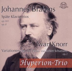 Spate Klaviertios Op 101 - Brahms / Hyperion Trio - Musiikki - THOROFON - 4003913125828 - torstai 20. lokakuuta 2011