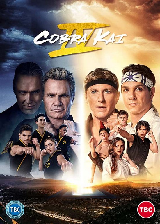 Cover for Cobra Kai  Season 04 · Cobra Kai - Seasons 04 (DVD) (2022)