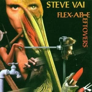 Flexiable Leftlovers - Steve Vai - Musique - EPIC - 5099749285828 - 26 juin 2006