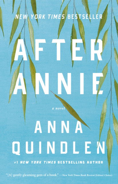 Cover for After Annie (Paperback Book) (2025)