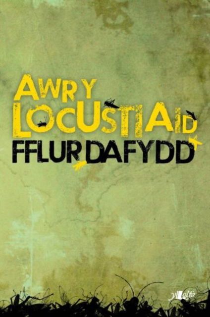 Cover for Fflur Dafydd · Awr y Locustiaid (Paperback Book)